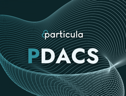 Particula Digital Asset Classification System (PDACS)
